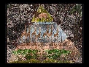 Module 1: Animal Relationships