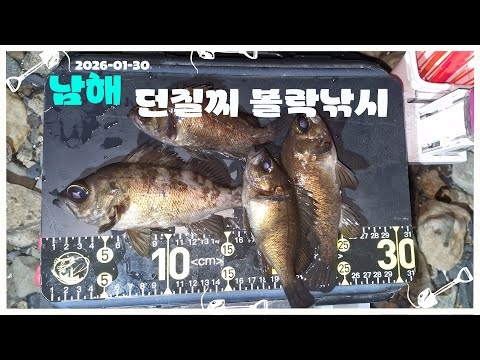 26-01-30 South Sea Rockfish Fishing #SouthSea #Rockfish #CastingBall