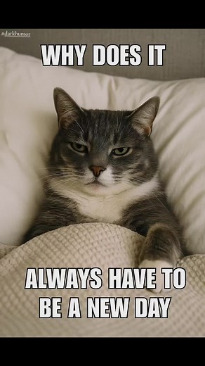 Meme Video on Dark Humor