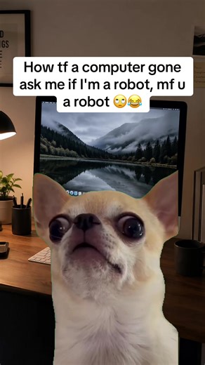 Robotception: Computers Asking If You're a Robot 😂
