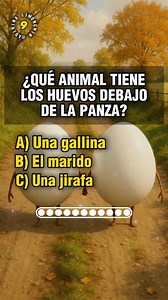 Desafío Quiz de Adivinanzas🤔🤯🧠 ¿Te gustan los retos? 🧐 Ponemos a prueba tu lógica con este Quiz de Adivinanzas. ¡Dale play y demuestra lo que sabes! 🎬 #quiz #trivia #adivinanzas #cultura #aprendizaje | adivinaconlimonchin