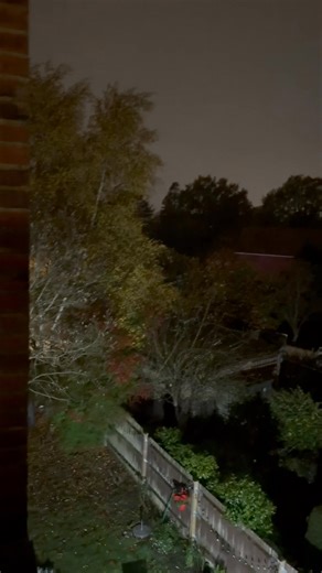 1.4K views · 5 comments | “Trying to see fireworks from the window like I’m watching Netflix in HD free version 藍” #fbreelsfypシ゚ #fireworks #freedom #friday #VIP #followback #facebookviral #facebookpost | Brighton Ncube | Facebook