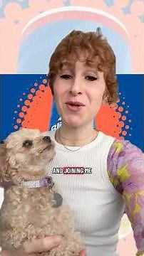 New Dairy Queen Blizzard Flavor