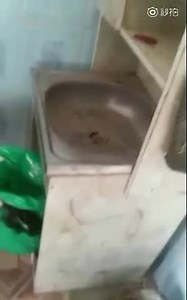 Wholesome gore meme :)