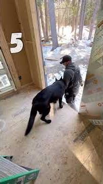 Installing Pella Steady Set Windows #woodworking #tools #diy