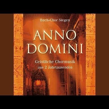Stern, auf den ich schaue