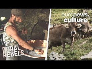 Italian job: Producing cheese with a 200-year tradition without technology