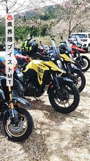 New models are popping up, and the area is having a V-Strom meeting! #VStrom #Suzuki