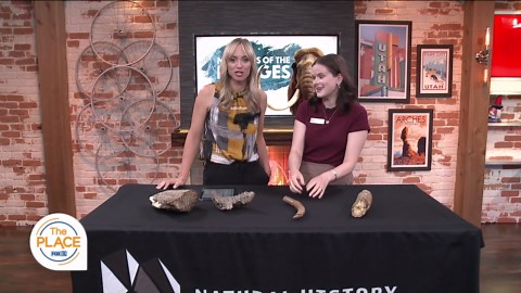 Mysteries of the Ice Ages