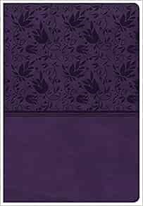 CSB Bibles by Holman