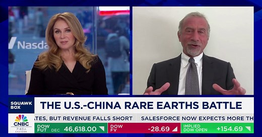 China views rare earths as a national treasure, says American Elements CEO Michael Silver