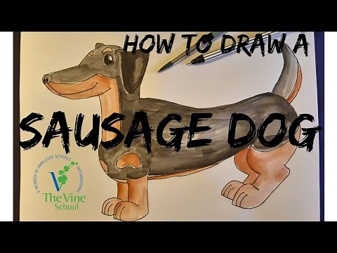 How to Draw a Sausage Dog