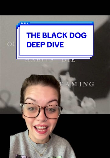 Exploring Taylor Swift's The Black Dog in Detail
