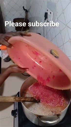 How you can prevent snakes from entering your house