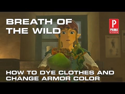 Zelda Breath of the Wild: How to Dye Clothes and Change Armor Color