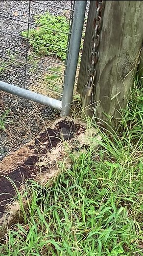 2.5K views · 40 reactions | How to notch/cut railroad ties for gate opening #stihl #chainsaw #stihlchainsaw #railroadtie #gatefix #pineygrovehomestead #farm #farmfix #farmlife #country #countrylife | Piney Grove Homestead and Mini Farm | Facebook