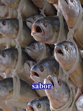 Why do Koreans tie these fish in long rows? #fish #facts #korean #shorts