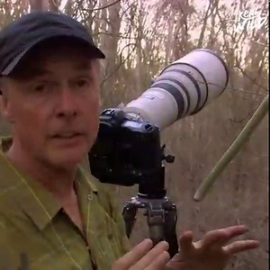 Wildlife photographer Art Wolfe encounters elephants, rhinos, hippos and sifakas! 🐒 But sometimes the photographed wildlife gets curious and decide to get up close and personal 🐘 | Real Wild