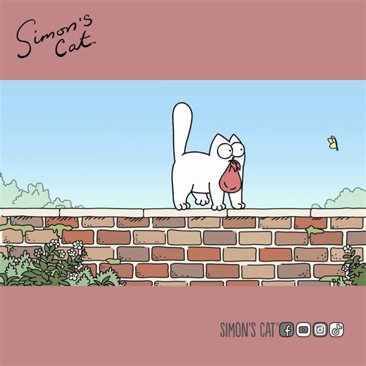 When your cat goes on a mini adventure! | Simon's Cat