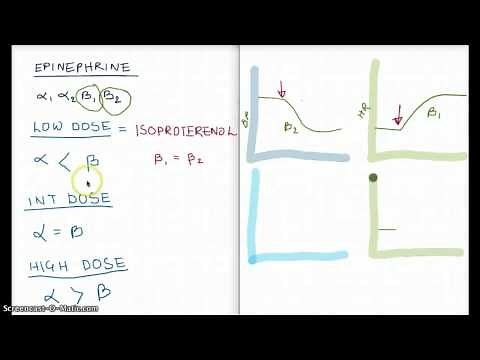 Easy Ways to remember Epinephrine (Low, Int, high Dose)