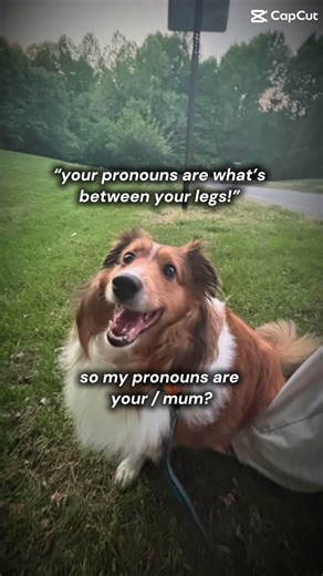 …