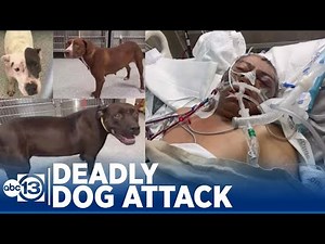 Dog owner charged in deadly northeast Harris County dog attack