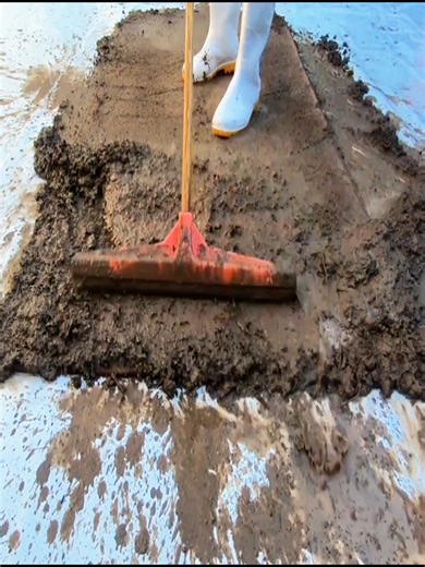 19K views · 252 reactions | Relaxing Rug Rescue: ASMR Stain Removal Sounds | Awesome Carpet | Facebook