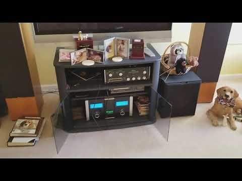 Boston Acoustics T 1000