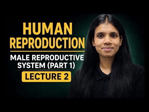 Male Reproductive System (Part 1) | Biology Live Class for NEET + Board Exams