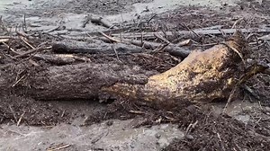 3.8M views · 41K reactions | INTENSE DEBRIS FLOW with flash flood off the Pine Gulch Fire burn scar north of Grand Junction, Colorado ripping down Kimball Creek as of 745 pm just passing parallel to Roan Creek Rd!!! | Reed Timmer Extreme Meteorologist | Facebook