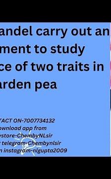 why did Mandel carry out an experiment to study inheritance of two traits in garden pea
