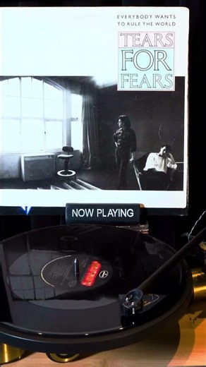 Tears For Fears - Everybody Wants To Rule The World (Xtended Vers) #tearsforfears #12inchvinyl