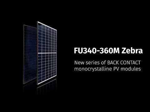 ZEBRA: The new Back Contact Module with IBC Technology