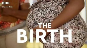 15K views · 133 reactions | *STARTS TONIGHT!* New BBC documentary reveals Life and Birth at Birmingham Women’s Hospital Life & Birth BBC One, 8pm, Tuesday 21st April We remember asking some of you to volunteer for this... did you?! :) DETAILS: https://bvoices.uk/3cFiVKn | B31 Voices | Facebook