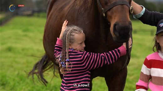 The Queen Of The Valley The greatest we have ever seen. Winx’s legendary 4 W.S. Cox Plates are etched into equine utopia. Before the final Cox Plate on this current track, a special visit was paid to the mightiest of mares Ⓜ️ #LEGENDARY #CoxPlate | Moonee Valley Racing Club