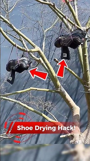 The Smartest Way to Dry Your Shoes Outside! 👟☀️