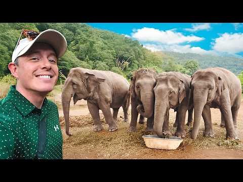 I Tried Thailand’s ‘Most Ethical’ Elephant Sanctuary 🇹🇭 Honest Review