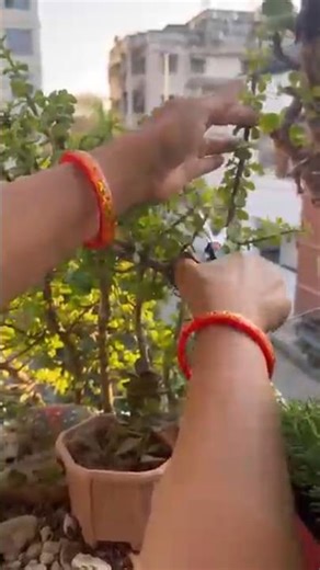 kas sap LOG hme bhi sport karte 🥹