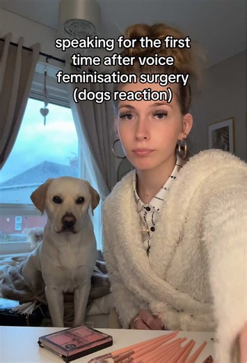 First Voice Impression After Surgery: Dog's Reaction