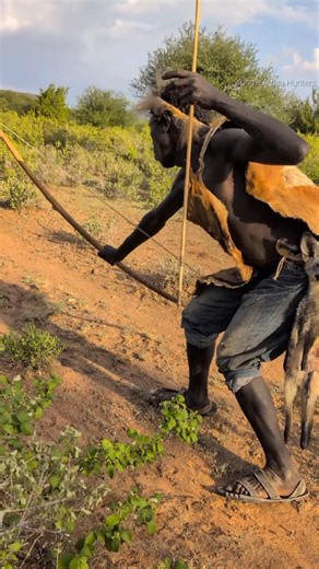 Leopardo vs Hienas! | Caçadores em ação | पेड़ पर चीता, नीचे हायना... और शिकारी! 🏹