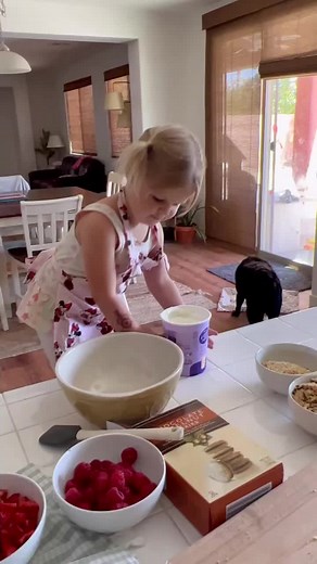 Delicious Berry Pudding Recipe for Easy Desserts