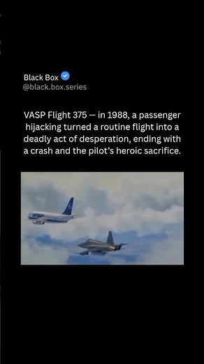 VASP Flight 375: tragic Boeing 737 crash after a suicidal hijacking in Brazil in 1989 tragedy!!