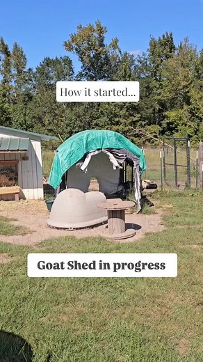 We didn't plan to build a whole new goat shed but here we are! When a massive storm destroyed the temporary shelter for our goats, we knew we had limited options. We tried to use fence panels first but ran into several issues. We learned so much from our chicken coop build, tackling a new goat shed wasn't as daunting. We love how it's turning out! Now comes the fun part. Trim, ventilation, paint, interior touches. What color should we paint it? White like the rest of our buildings or something a