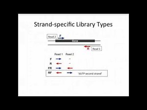 BroadE: Strand-specific RNA-Seq is Preferred