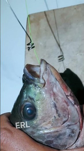 How to remove the hook from the fish's mouth easily #tutorial #fishing #gtknot #fishingtips #fish