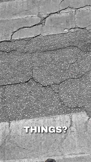 what are these bubble things? I have no idea. help me