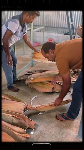 Areca Plate Making Machine | Pakku Mattai Machine #arecaplatemakingmachine