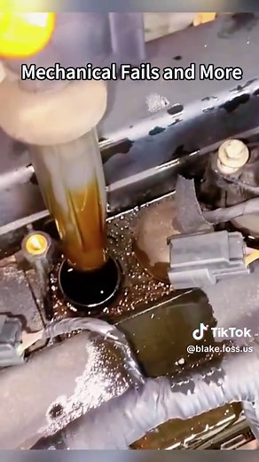 How to Check Your Spark Plugs for Oil