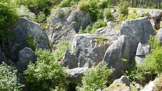 Top 5 des balades 'nature' les plus incroyables en Wallonie - RTBF Actus