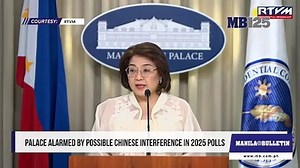 Palace alarmed by possible Chinese interference in 2025 polls